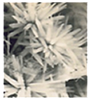 reverse osmosis filter