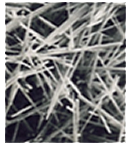 best water filters for home