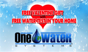 One Water Systems