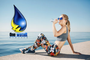 whole home water filter san diego